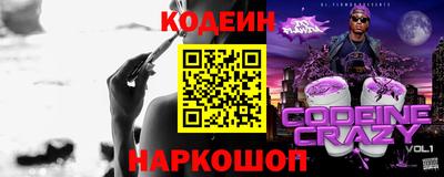 мдпв Камышлов