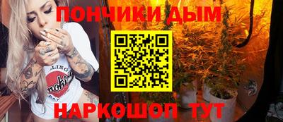 мдпв Камышлов