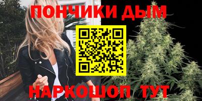 мдпв Камышлов