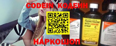 мдпв Камышлов