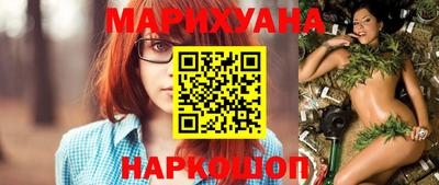 мдпв Камышлов
