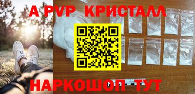 мдпв Камышлов