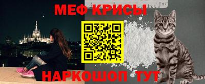 мдпв Камышлов