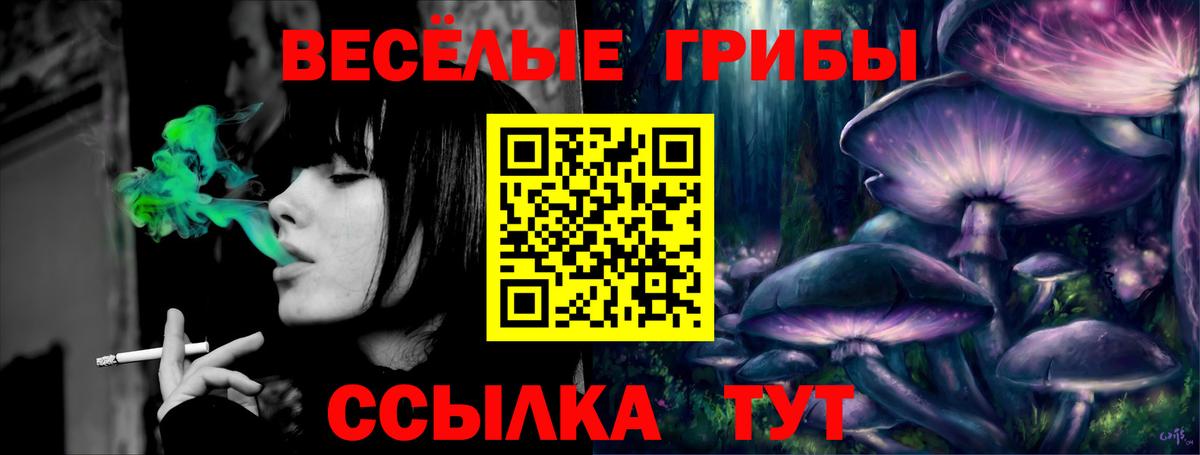 Псилоцибиновые грибы мицелий Курск